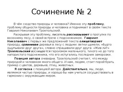 3 эссе