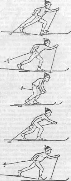 Скользящий шаг на лыжах. Рисунок скользящего шага на лыжах. Ходьба скользящем шагом без палок на лыжах. Рисунок техника скользящего шага. Передвижение скользящим шагом