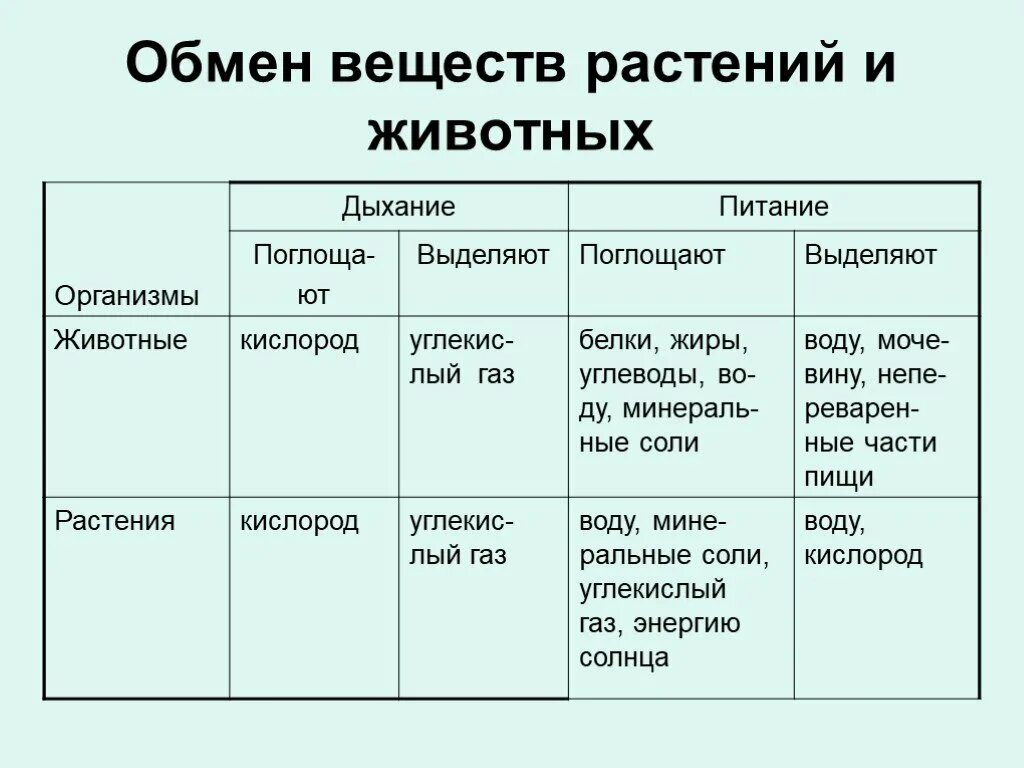 Различия в обмене веществ. Различия выделений у растений и животных таблица. Выделение у растений и животных таблица. Различие выделения веществ у растений и животных таблица таблица. Выделение веществ у растений и животных таблица.