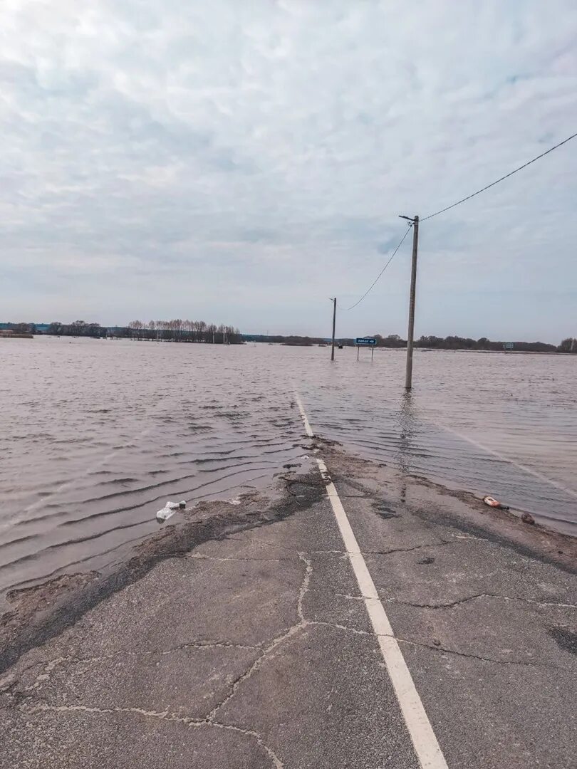 Подтопления на Оке. Белоомут наводнение. Половодье в Дединово сегодня последние. Белоомут большой наводнение 1994 года.