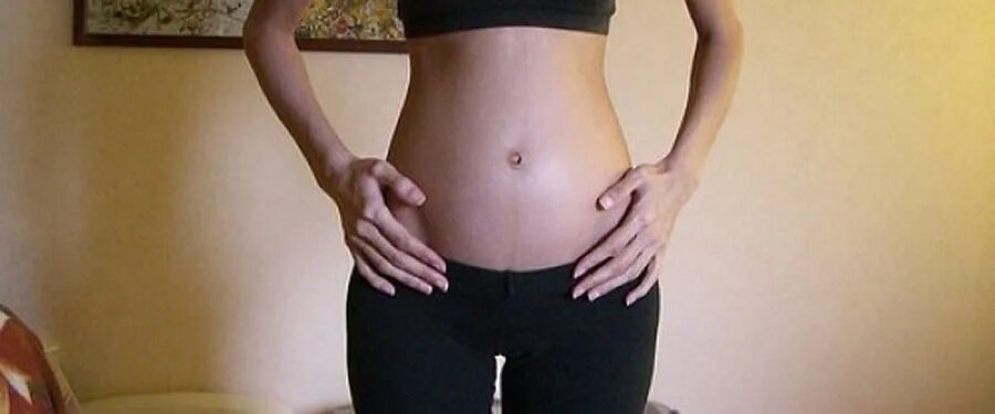 как выглядит ложная беременность. ложная беременность у животных. как выглядит ложная беременность. как выглядит ложная беременность. ложная беременность у женщин.