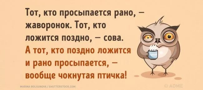 Человек который рано встает называется. Жаворонок рано встает. тот кто просыпается рано жаворонок тот. жаворонок сова чокнутая птичка. кто поздно ложится тот.