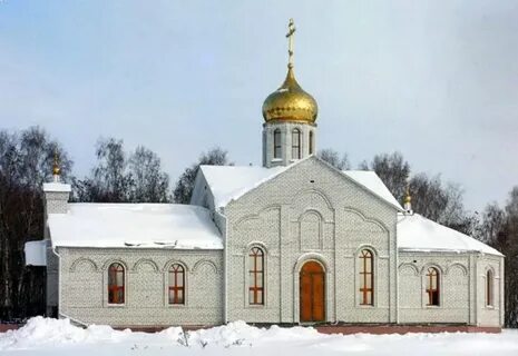 Курская область студенок