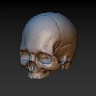 3d модификация