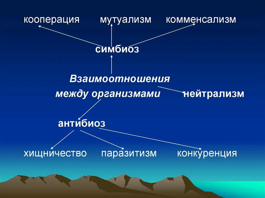Взаимоотношения между организмами. Типы взаимодействий между организмами симбиоз. Взаимоотношения между организмами симбиоз антибиоз нейтрализм. Хищничество мутуализм комменсализм паразитизм нейтрализм