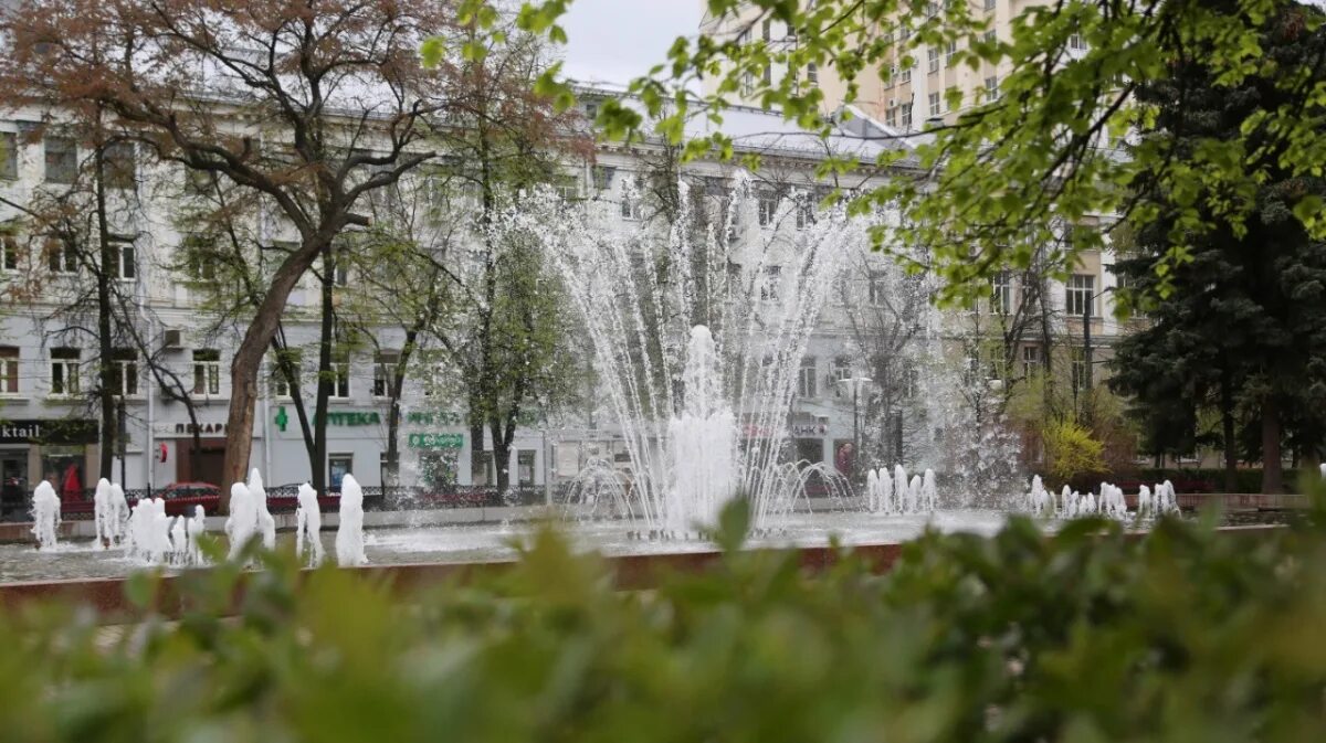 1 мая воронеж. День победы воронеж. Парк победы воронеж. Церемония возложения венков к памятнику черняховскому воронеж. Воронеж парк орлёнок тюльпаны.