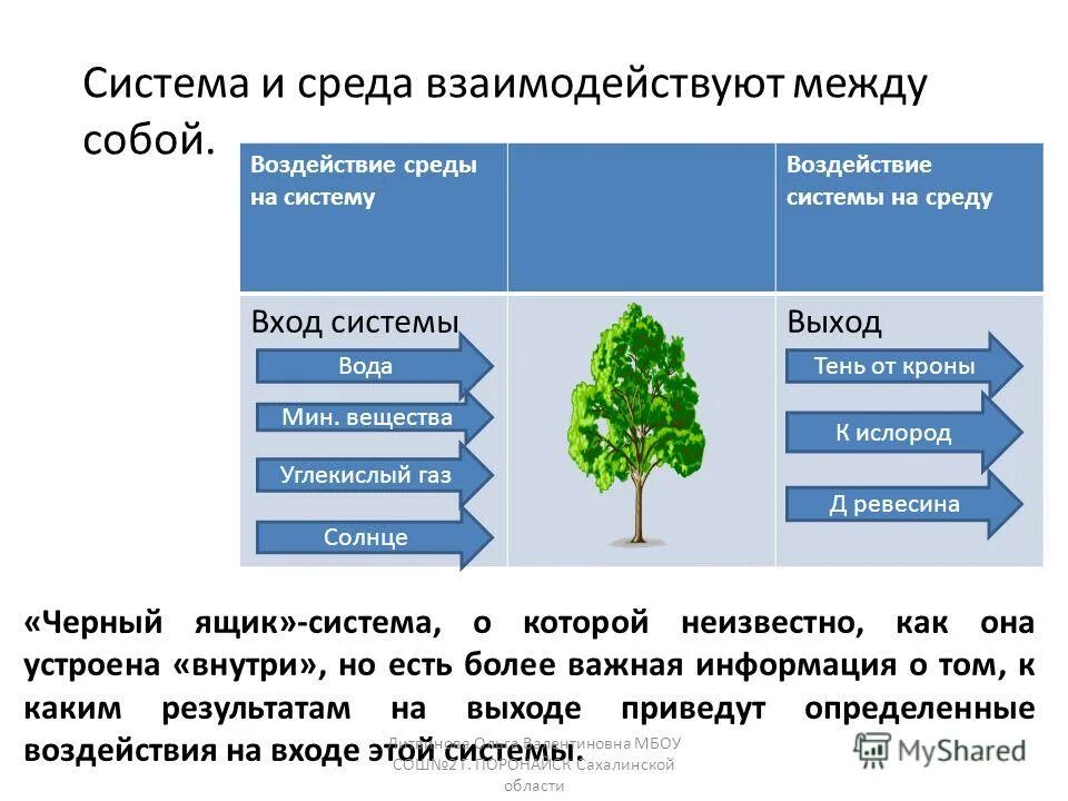 влияние окружающей среды на формирование плода. принцип несущественности. методы реактивной защиты с возмущениями. воздействие среды на систему 5 букв. воздействие среды на систему.
