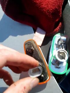 Лампочка поворотника на гранту