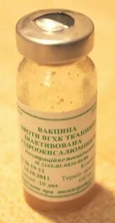 Вакцина вгбк инструкция по применению