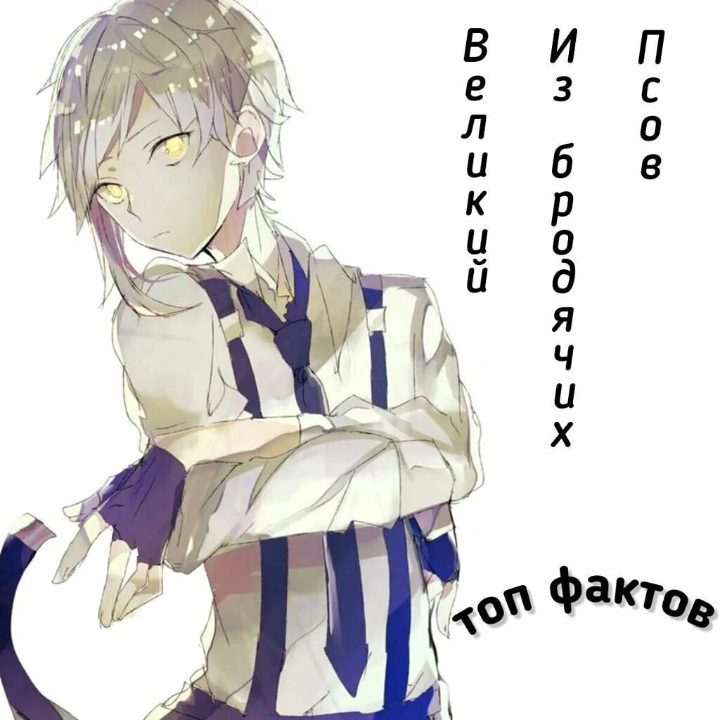 Сколько лет ацуши бсд. Ацуши накаджима. ацуши бсд. бродячие псы ацуши арты. ацуши накаджима бсд тигр.