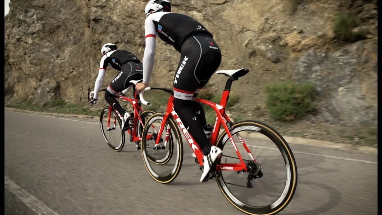 Ride net