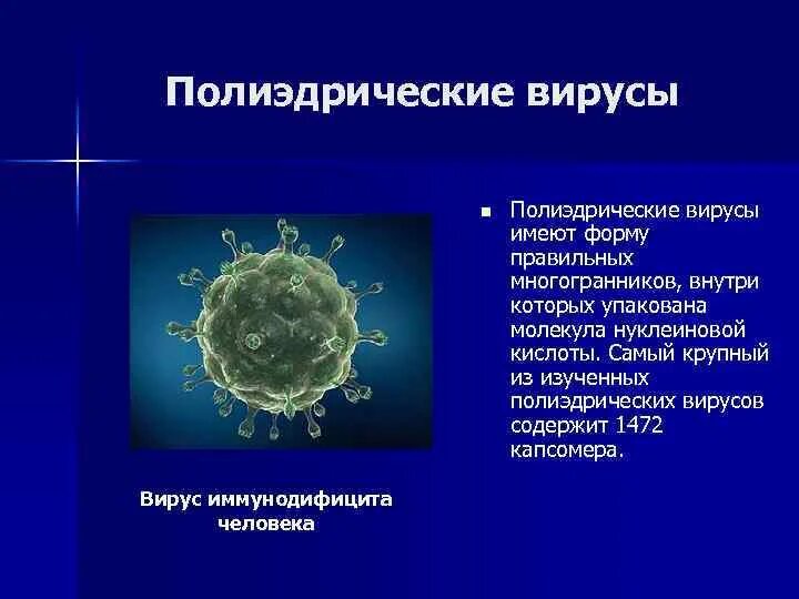 Каким основным свойством не обладают вирусы. Вирус имеет форму многогранника. Правильные многогранники вирусы. Вирусы имеют. Вирусы с формой правильных многогранников.