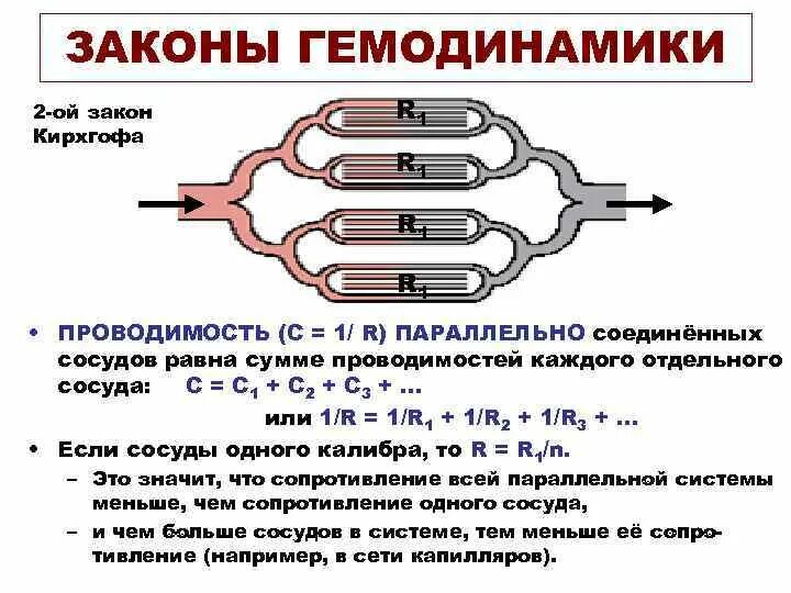 Основные гемодинамические показатели кровотока. Основные гемодинамические показатели системы кровообращения. Основные закономерности системной гемодинамики. Физические основы гемодинамики. Система гемодинамики