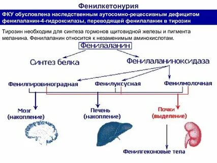 Наследственные заболевания новорожденных
