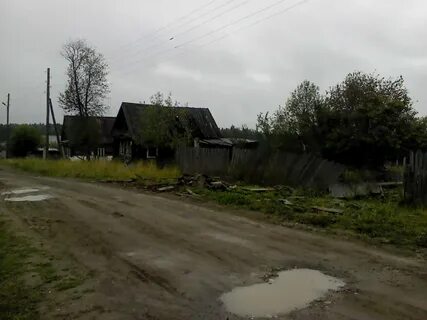 Гисметео кормовище
