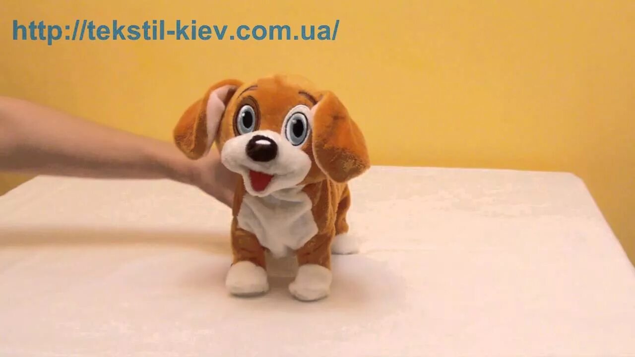 Собачку говорящую пришла