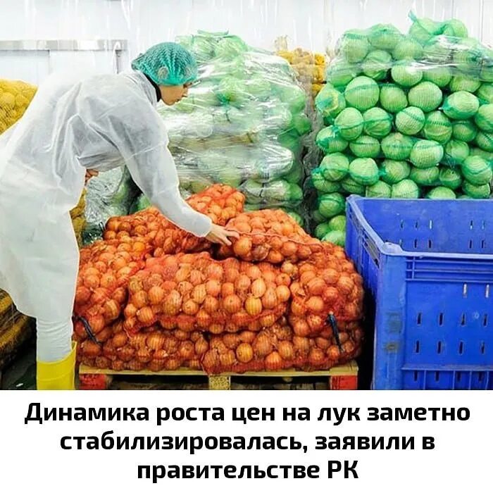 Профессия заготовитель сельхозпродуктов. Производитель сельскохозяйственной продукции и заготовитель. Выставка сельхозпродукции дары осени. Стороны договора контрактации. Сельское хозяйство.