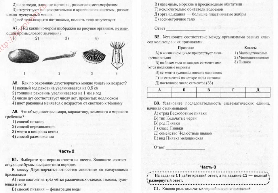 Тест на тему Тип моллюсков 7 класс. Тест по биологии на тему Тип моллюски 7 класс. Тест моллюски 7 класс биология с ответами. Тест по биологии 7 класс моллюски.