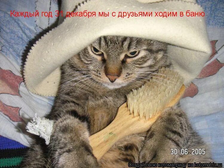 каждый годс сдрузяьмя мы ходм в аню. каждый год хожу в баню. каждый год мы с друзьями ходим в баню. каждый год мы идем в баню. каждый год мы идем в баню.