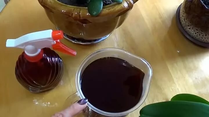 Луковая шелуха для комнатных. Луковая шелуха для комнатных растений. удобрение луковой шелухой для комнатных растений. настой луковой шелухи для комнатных цветов. подкормка цветов луковым отваром.
