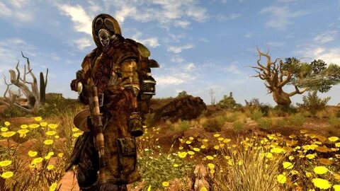 Fallout overhaul