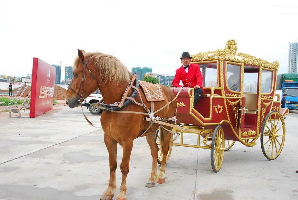 конный экипаж царское село. скорость кареты с лошадьми. карета с одной лошадью. повозка с лошадью в казани. экипаж карета.
