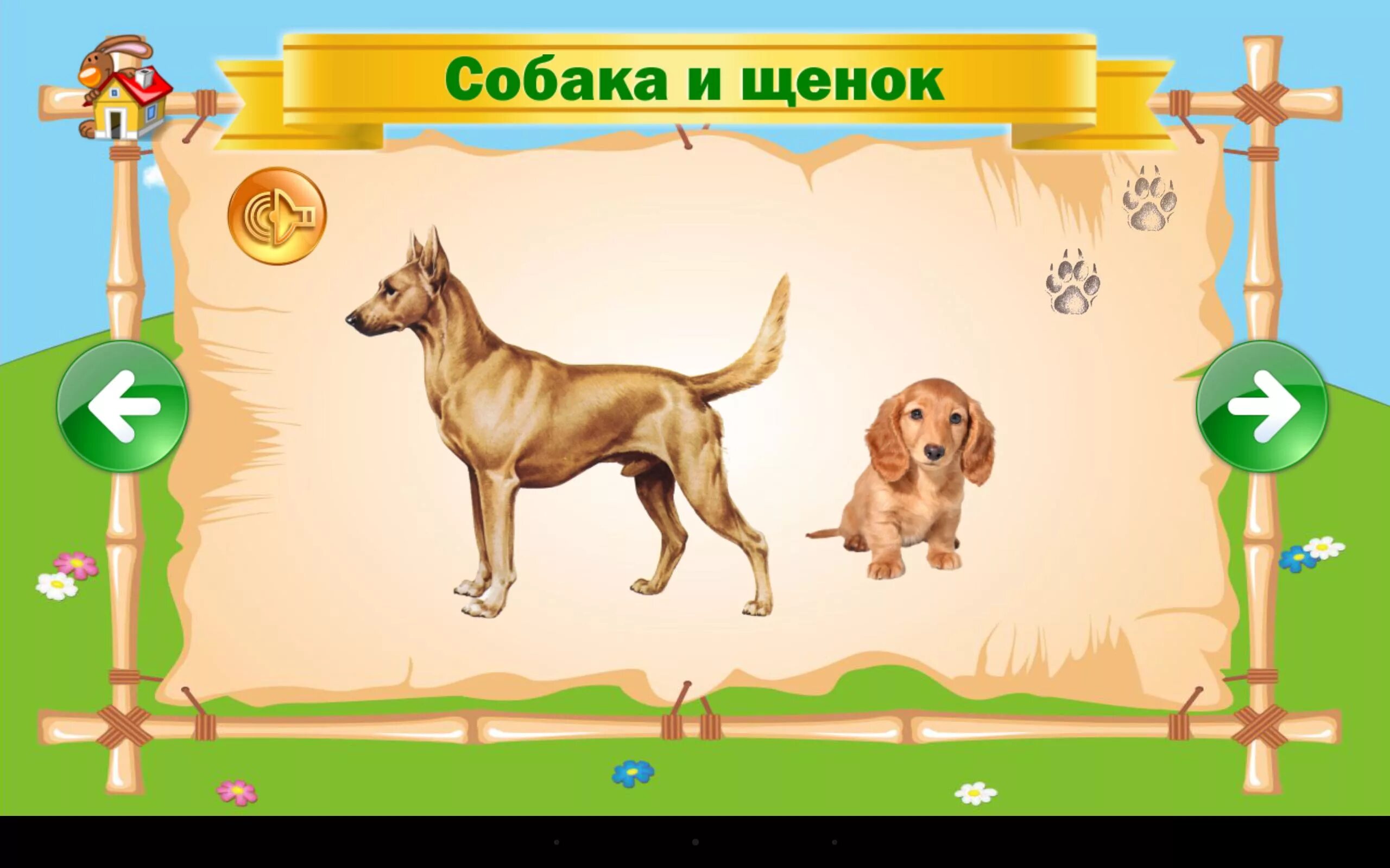 Год собаки игры. Игры с собаками для детей. Собака со щенком для детей дошкольного возраста. Игровые собаки для детей щенки. Собака и щенок карточки для детей.