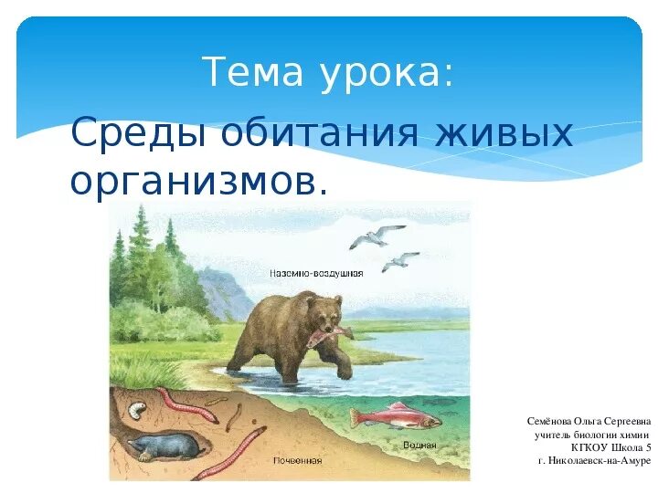 Что такое среда обитания биология 7. Среды обитания живых организмов. Живые организмы и их среда обитания. Среды обитания организмов 5 класс. Среда обитания это среда.