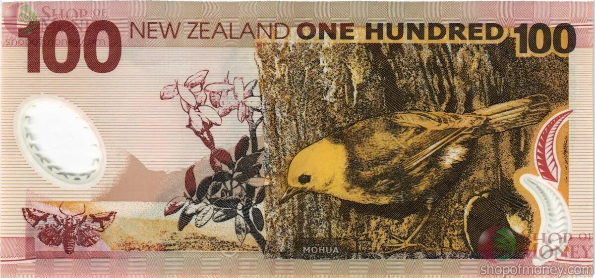 Доллар новая зеландия. 100 Долларов новая Зеландия. Банкноты с изображением птиц. Купюра 100 новозеландских долларов. Денежная купюра с изображением птицы.