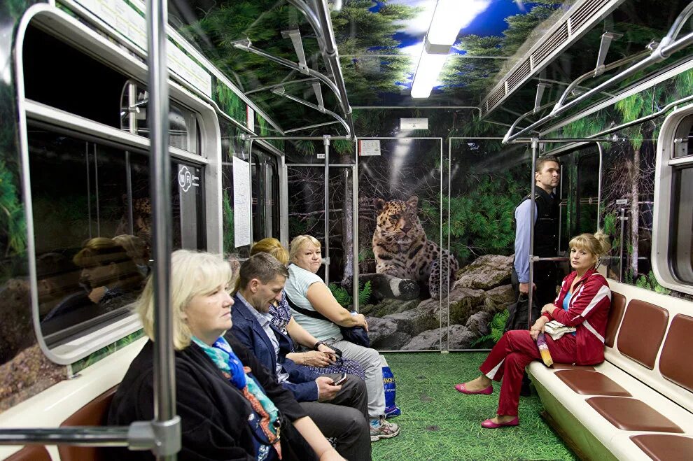 Транспорт какой до зоопарка. Автобус зоопарк. Зоопарк метро. Автобус зоопарк внутри. Вагон зоопарк.