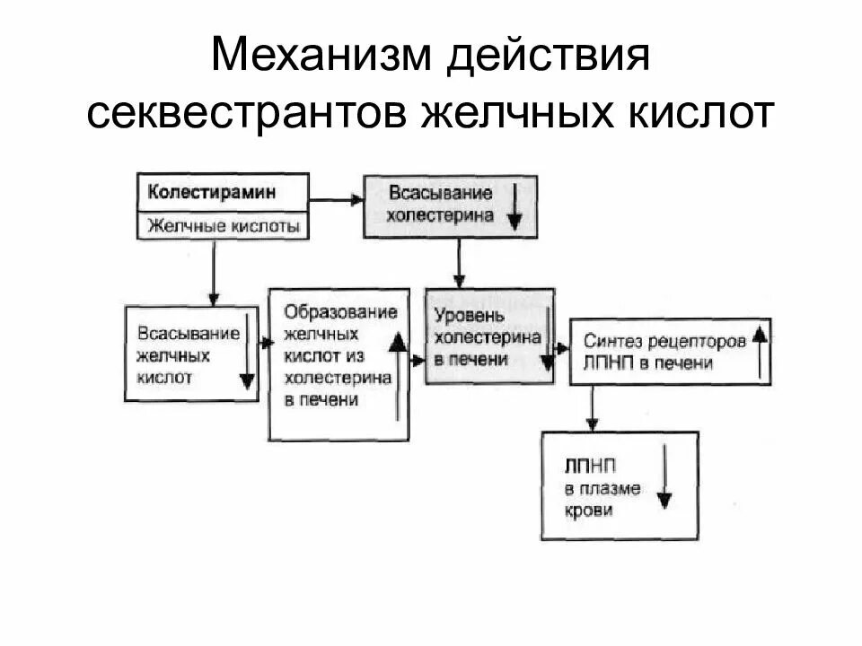 Секвестранты желчных кислот что это. Механизм действия секвестрантов. анионообменные смолы секвестранты желчных кислот. секвестранты желчных кислот механизм действия. побочные эффекты секвестрантов желчных кислот.