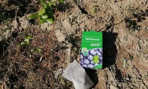 Кислота под голубику