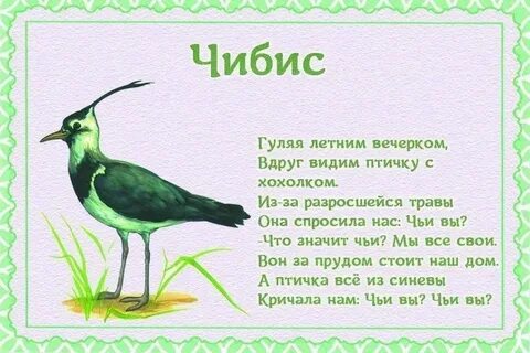 Короткие стихи про птиц