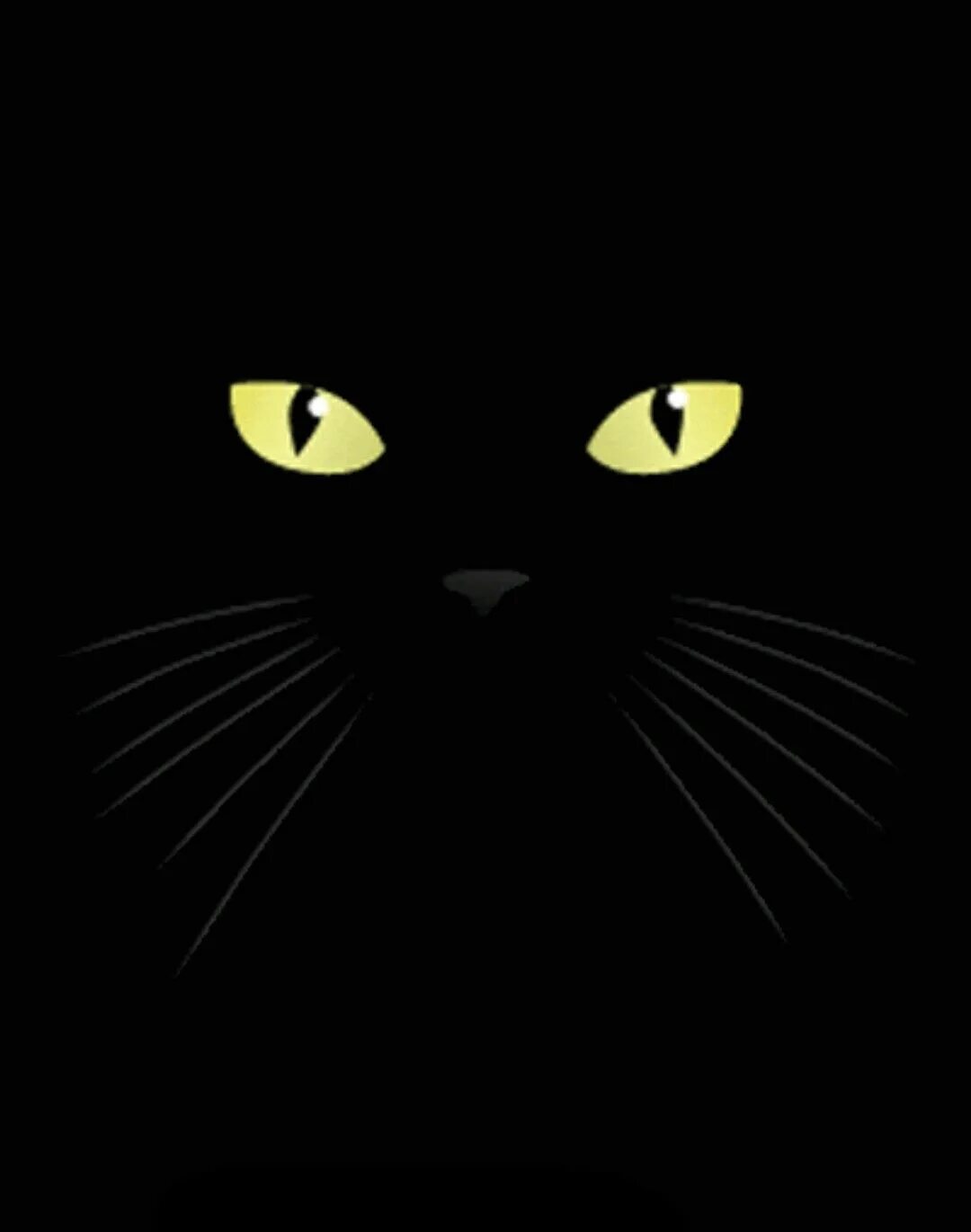 Чёрный кот. Аватарка черный кот. Черная кошка на аватарку. Аватарки с именами.