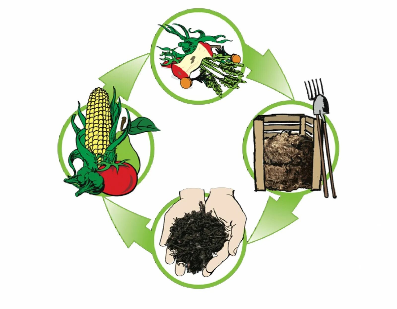 Органических отходов. Компостирование органических отходов. Переработки отходов растительности. Переработка пищевых отходов в удобрения. Биотехнология переработки отходов.