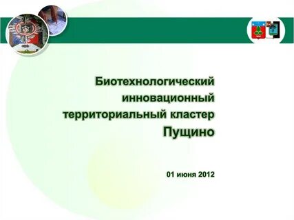 Территориальный кластер