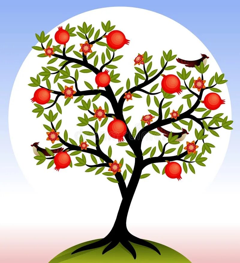 Гранатовое дерево вектор. Гранатовое дерево для детей. Гранатовое дерево иллюстрация. Дерево жизни с плодами. Яблоня дерево символ