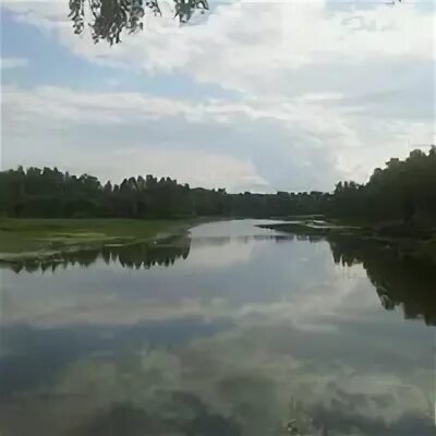 15 сутка