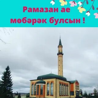 Тоткан уразаларыбыз кабул