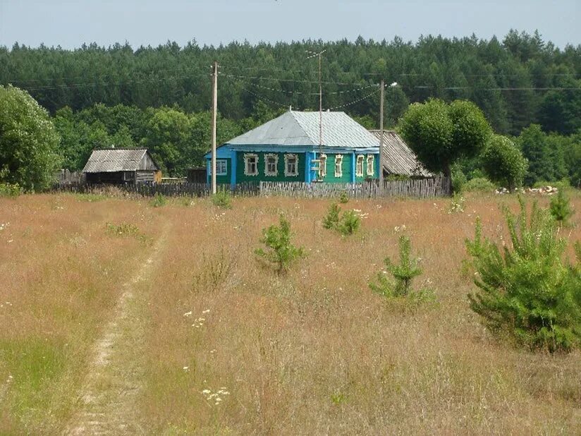 Деревни рязанской области. Деревня Чуликса Рязанская область. Чуликса Касимовский район Рязанская область. Деревня Чуликса Касимовский район. Деревня Чарус Касимовского района.