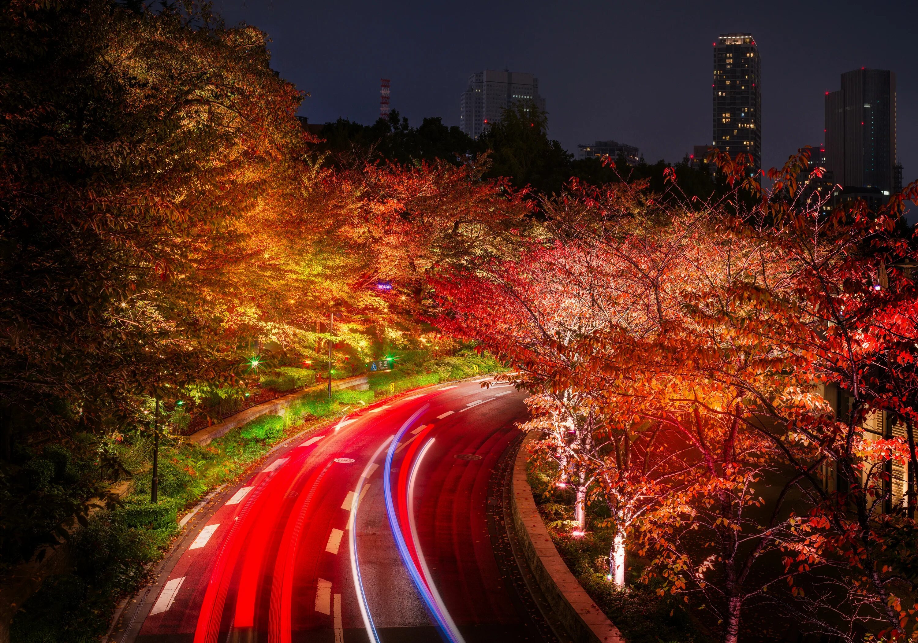 Япония Токио. Осень в Японии. Токио осенью. Осенняя дорога. Https tokyo