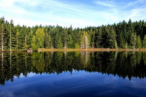 Lake 2014