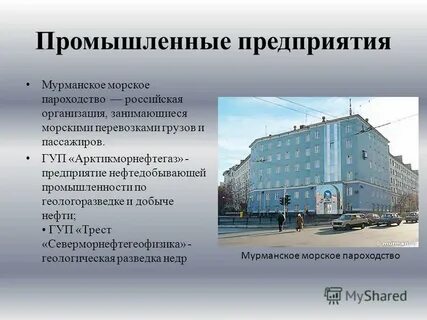 Организации мурманска
