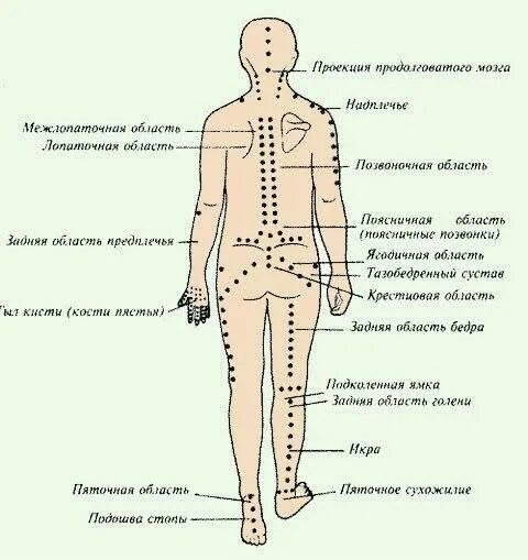 точки опоры тела. положение тела на снаряде. равновесие тел. хождение на ходулях. опорные точки человека.