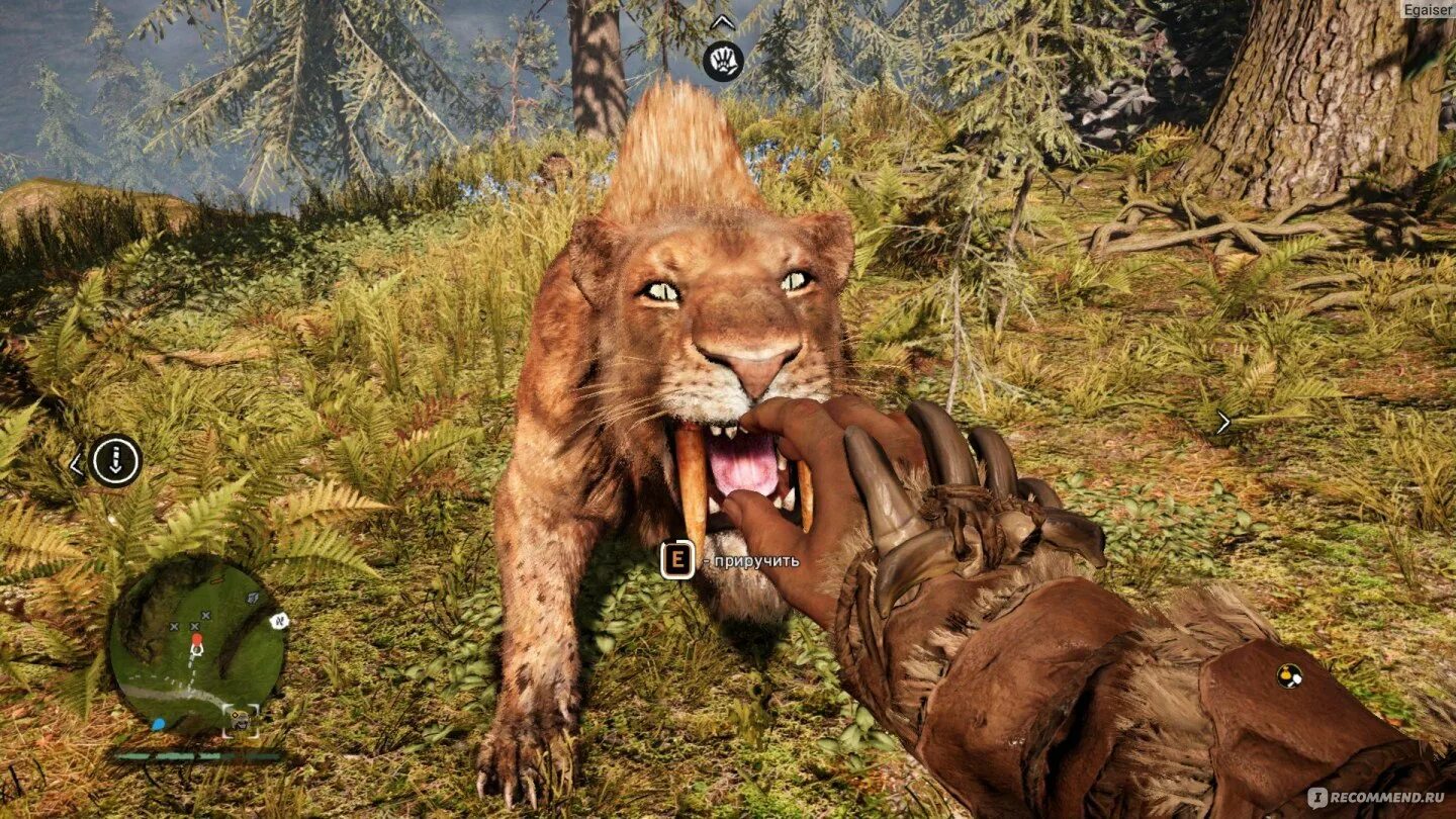 Игра где приручаешь животных. Far cry primal саблезубый тигр. симулятор тигра смилодона. far cry primal мамонт. far cry primal приручаем животных.