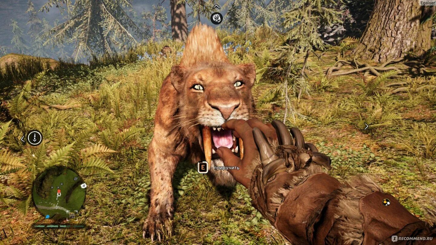 Саблезуб арк. Far Cry Primal Саблезубый тигр.