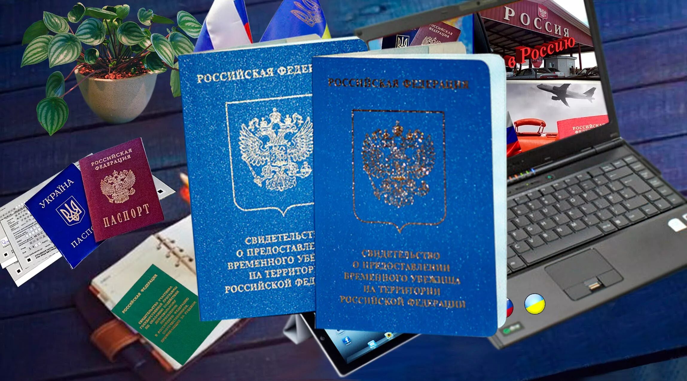 Временное убежище. Временное убежище в России. Беженцы гражданство россии