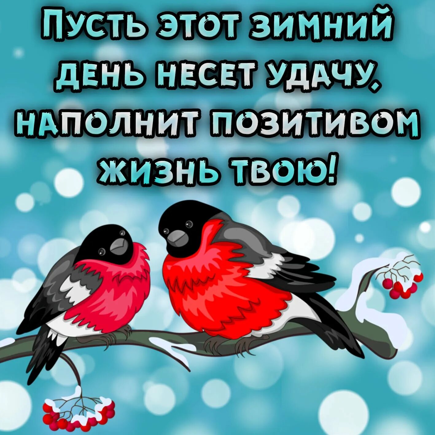 Хорошего позитивного зимнего дня
