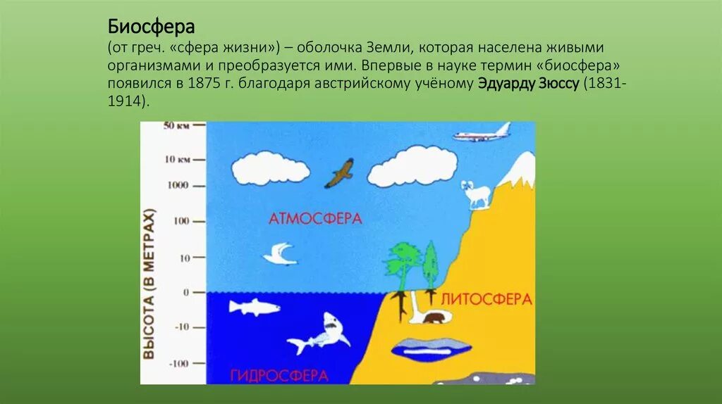 Урок 6 класс биосфера оболочка жизни