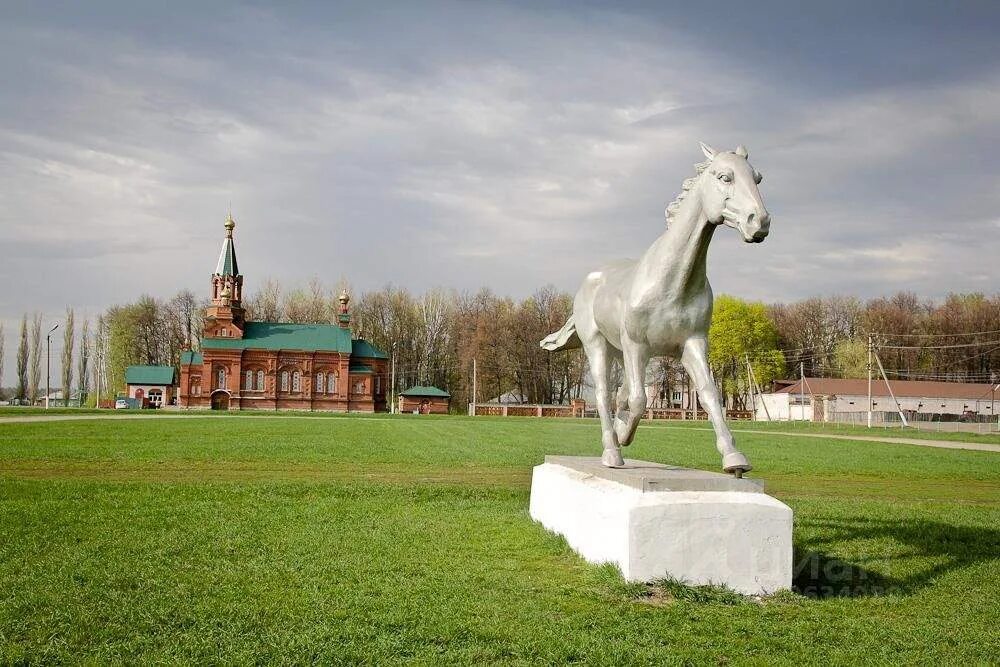 Хреновской Бобровский район конный завод Воронежская область. Хреновое Бобровский район конезавод. Хреновской конный завод Воронеж. Село Хреновое Воронежской области конезавод. Село хреновое бобровского